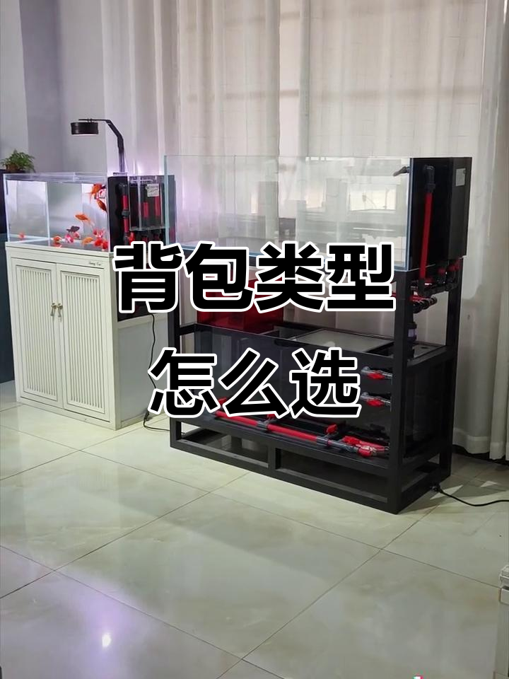 全背包与半背包的差异,如何选择最适合你的鱼缸设计?