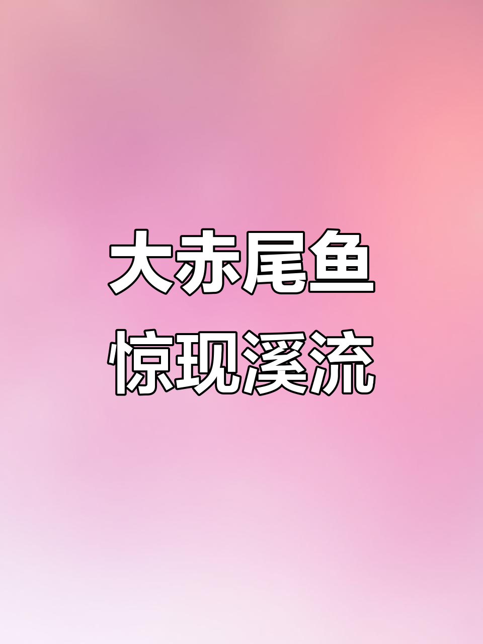 溪流钓大赤尾鱼,破纪录的巨型挑战