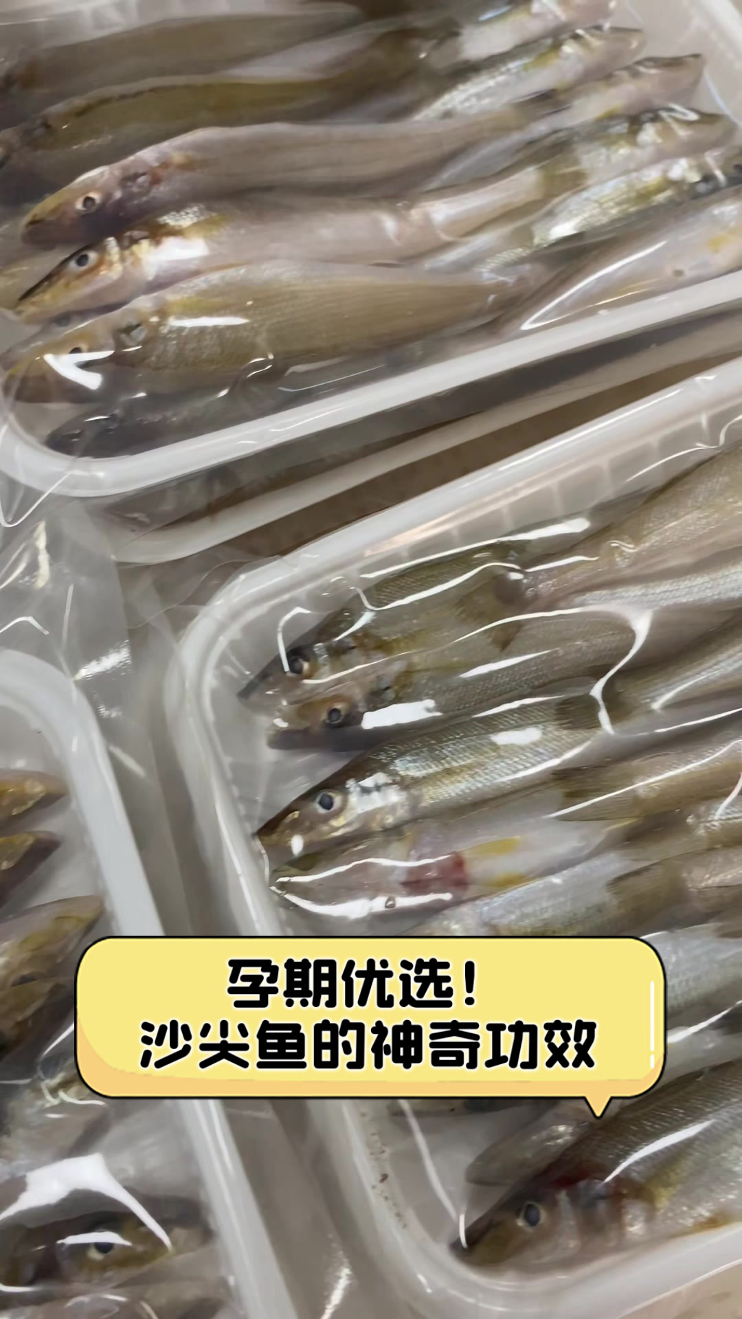 孕期优选！沙尖鱼的神奇功效