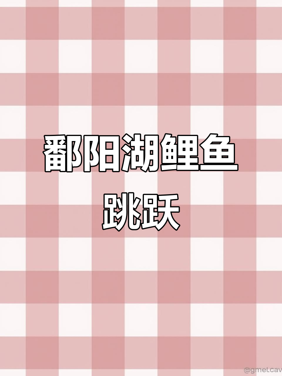 鄱阳湖渔民捕鱼场景与鲤鱼跳龙门描写分析