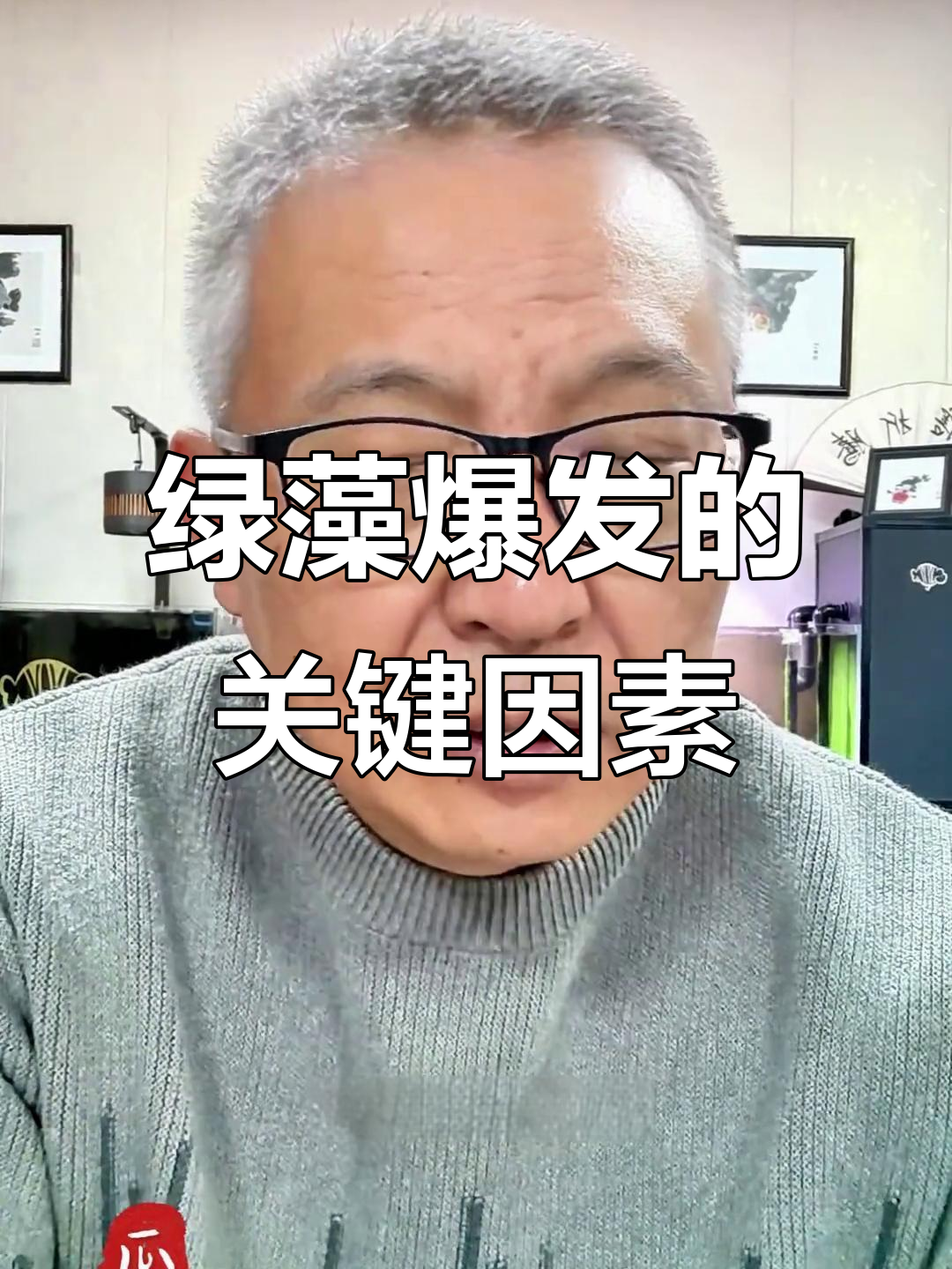 鱼缸绿藻爆发条件分析,如何避免过度生长