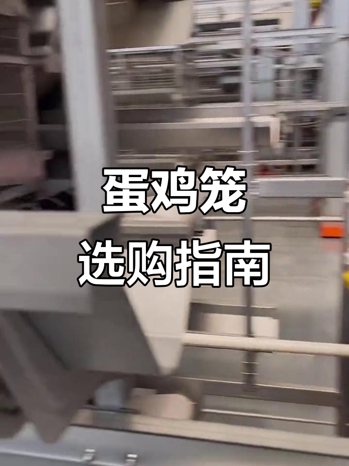 蛋鸡笼设计细节揭秘,避免踩坑!