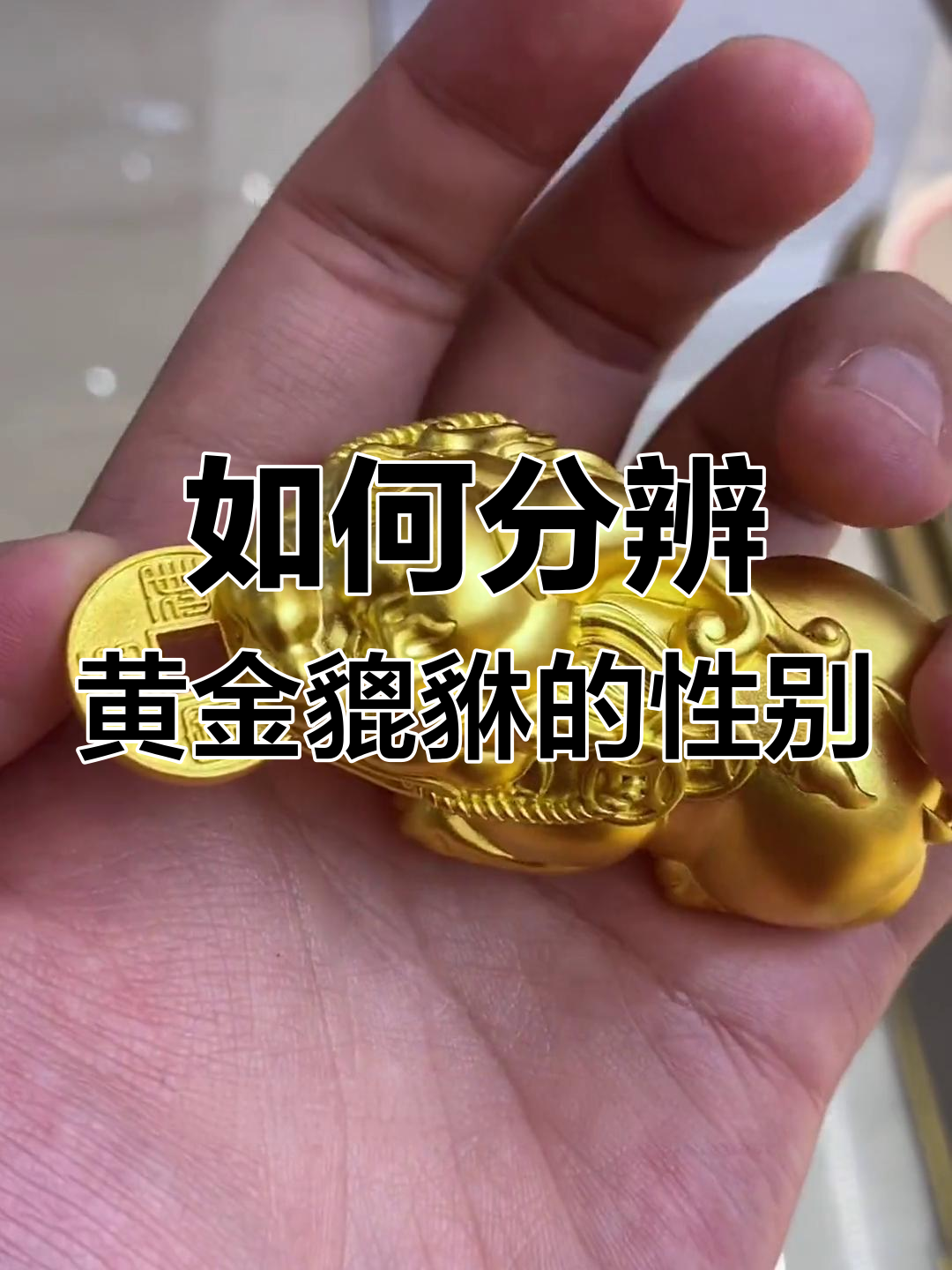 黄金貔貅公母如何区分?教你一招轻松辨别