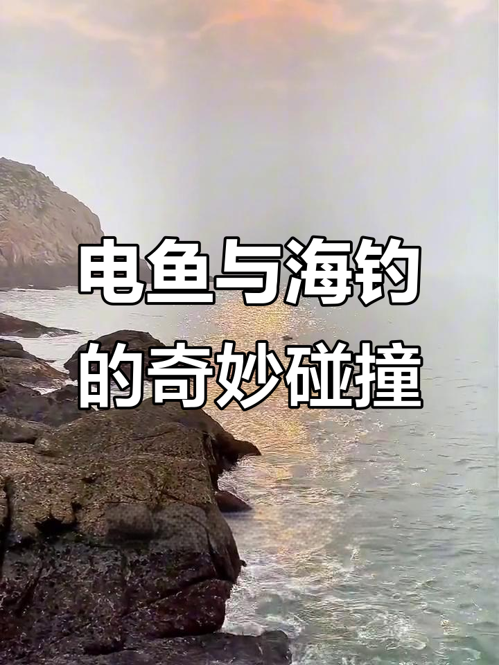 早上电鱼，晚上钓鱼，雨天连杆不停歇