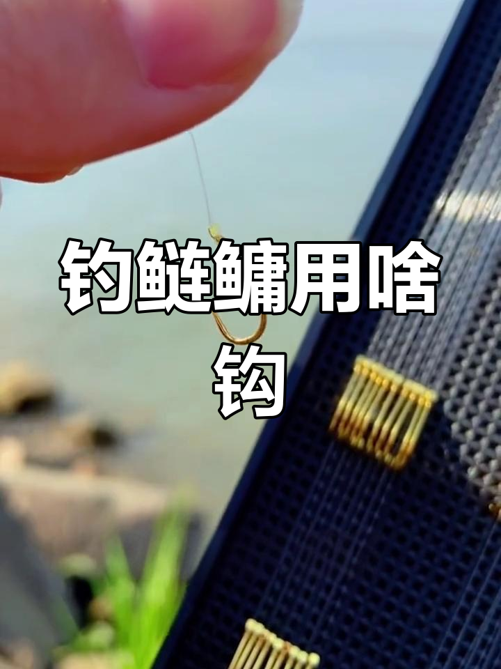 钓鲢鳙选哪种鱼钩最合适?五大常用钩型解析