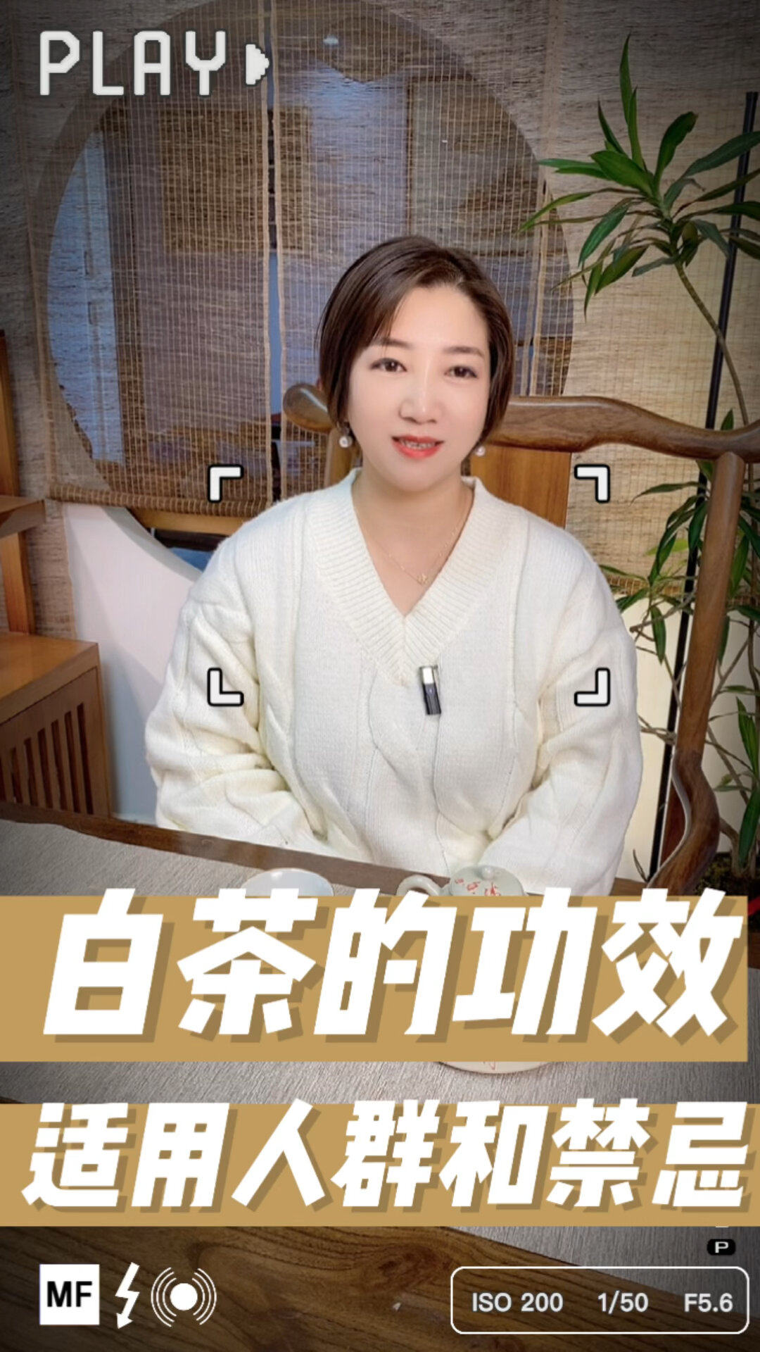 白茶功效,使用人群及禁忌
