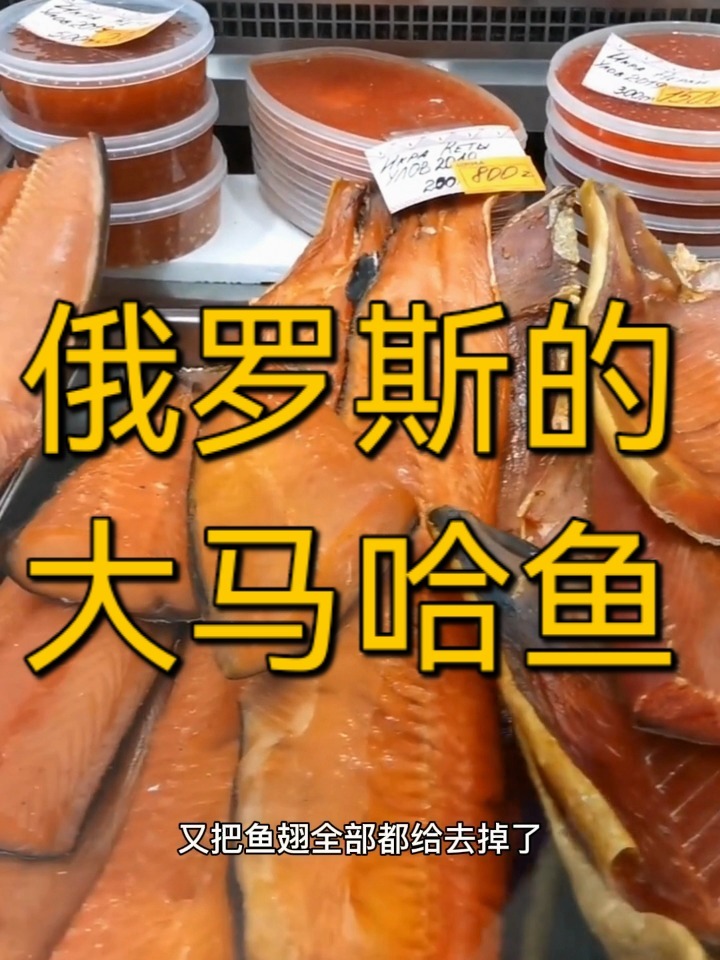 俄罗斯的大马哈鱼你吃过吗?