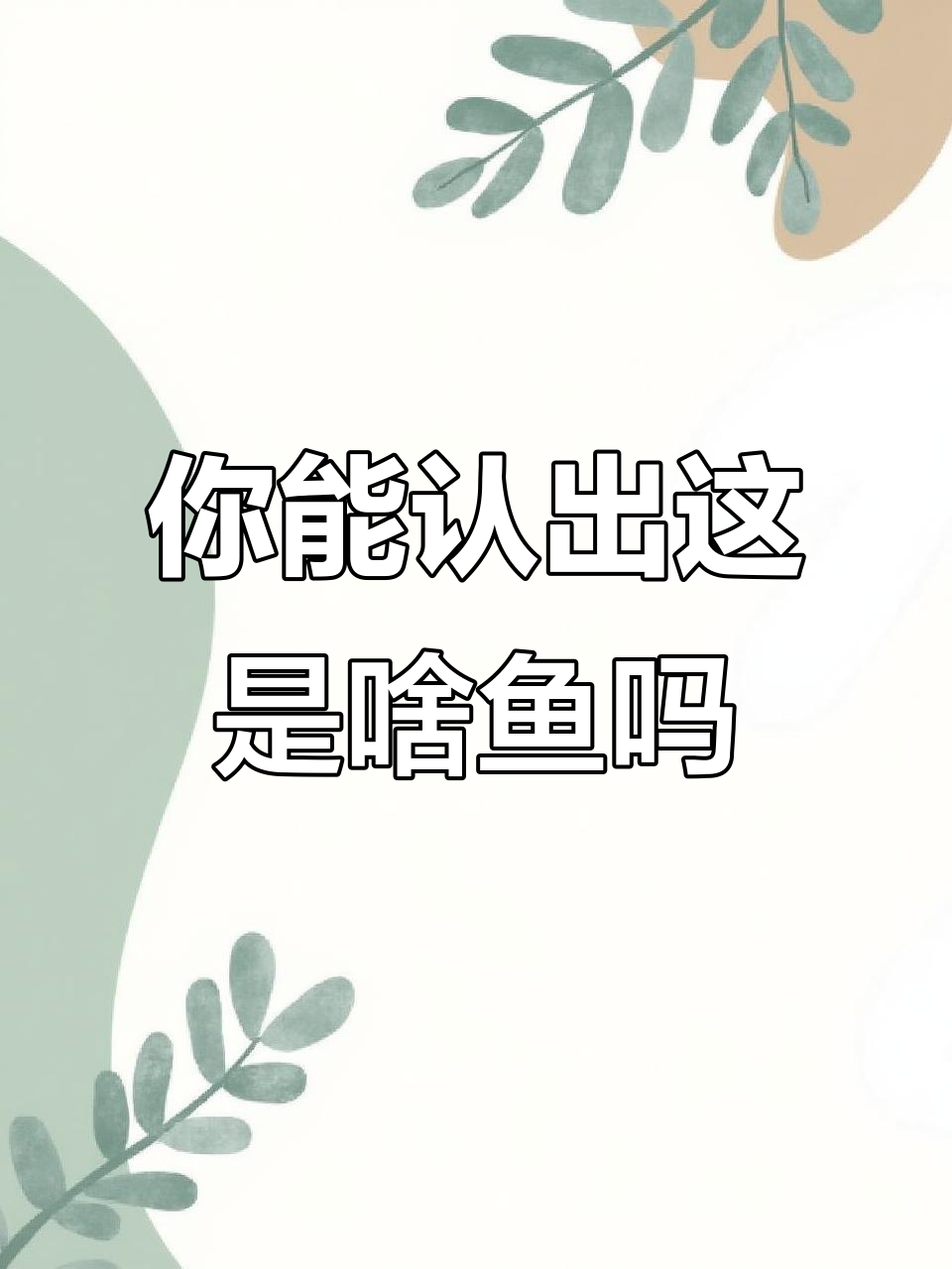 这是什么鱼?你能猜出来吗