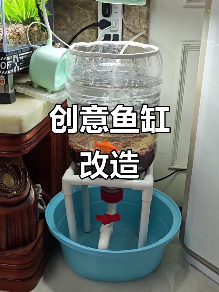 用矿泉水桶改造鱼缸,简单又实用,虽然有点丑但挺有趣
