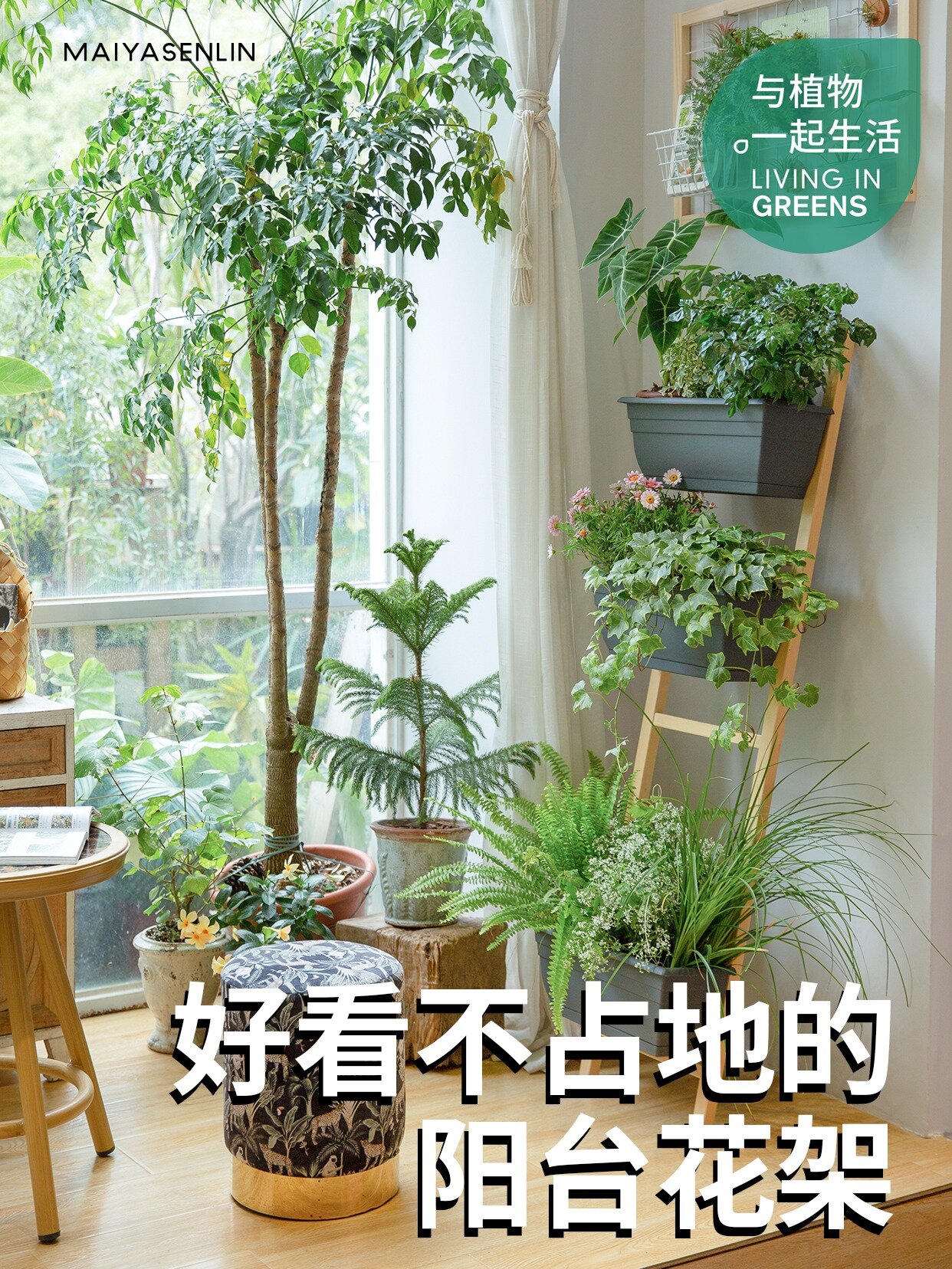 阳台布置|好看不占地方的阳台花架