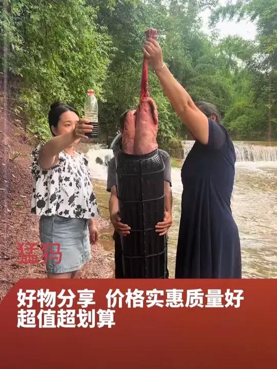 大号鱼笼升级款网笼 鱼 虾黄鳝和小龙虾设计一体鱼笼非常好用绳网