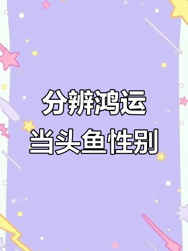 鸿运当头鱼苗公母分辨技巧