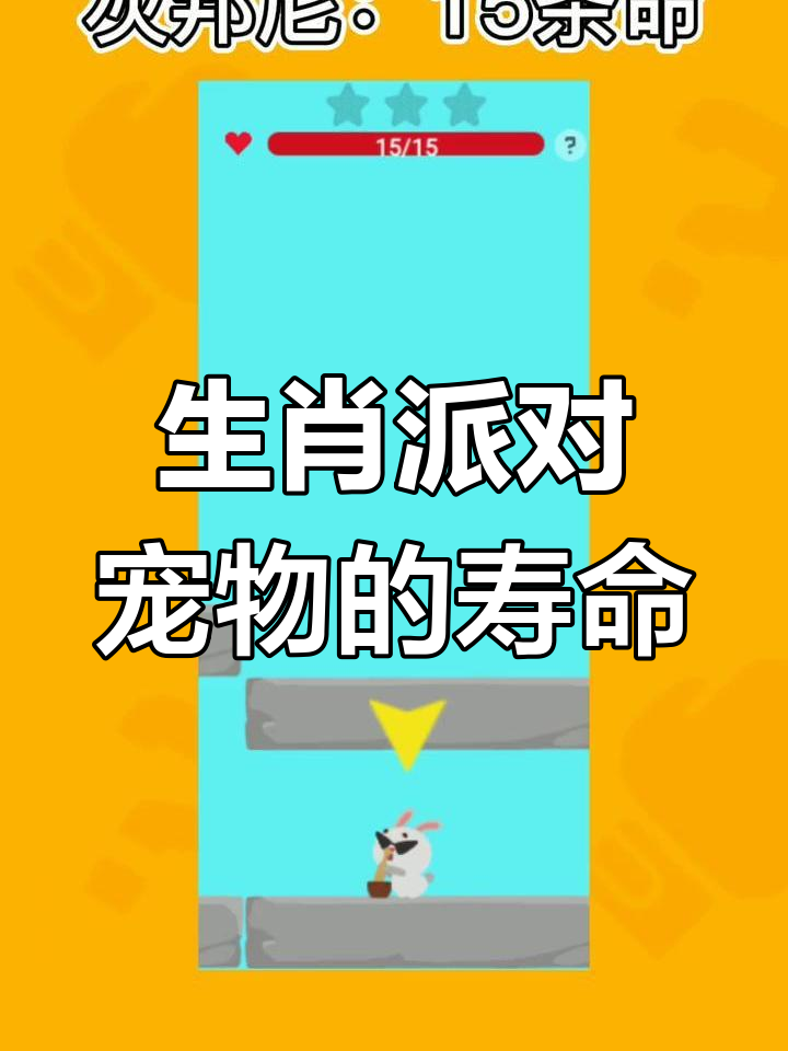 盘点生肖派对宠物生命,谁最长寿?