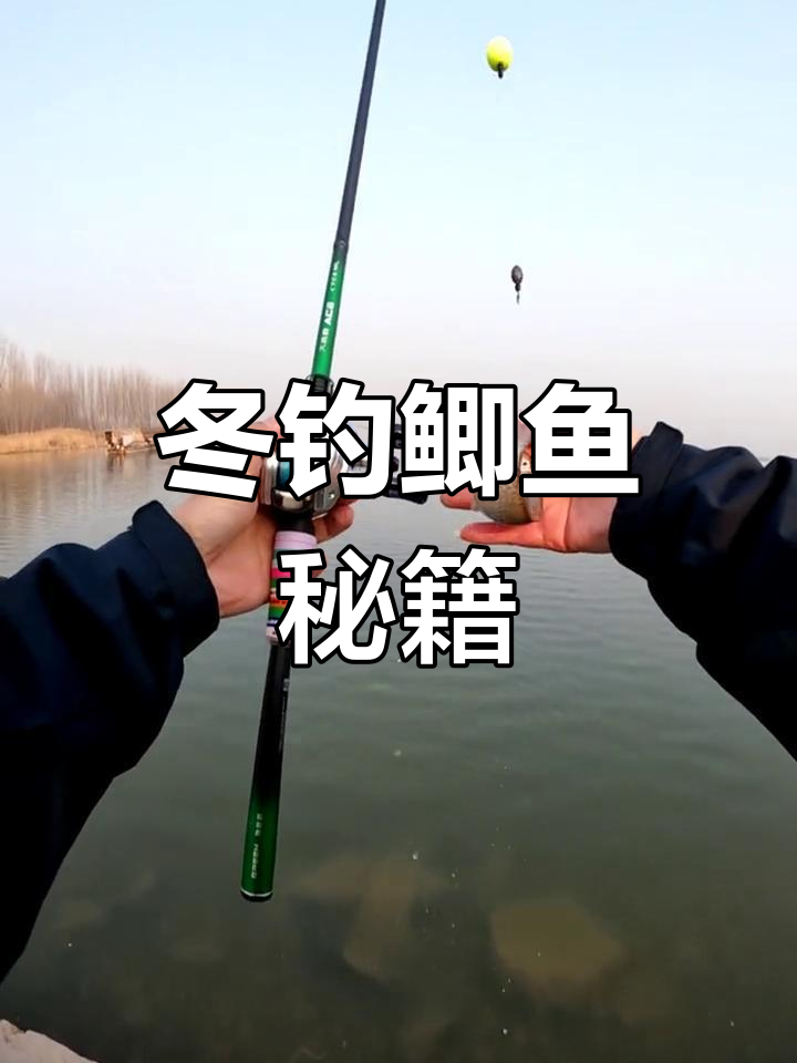 冬季钓鲫鱼,路亚活饵轻松捕获远水大物!