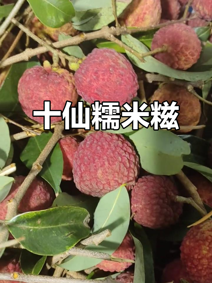 十仙进奉糯米糍，美味来袭！