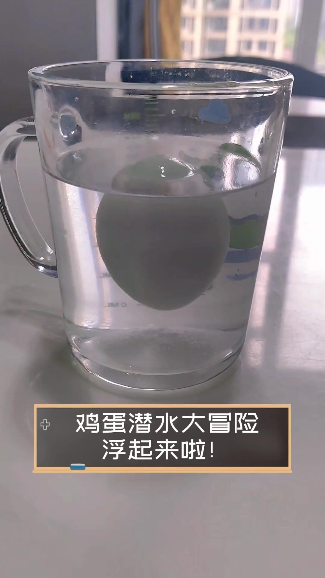 鸡蛋潜水大冒险,浮起来啦!