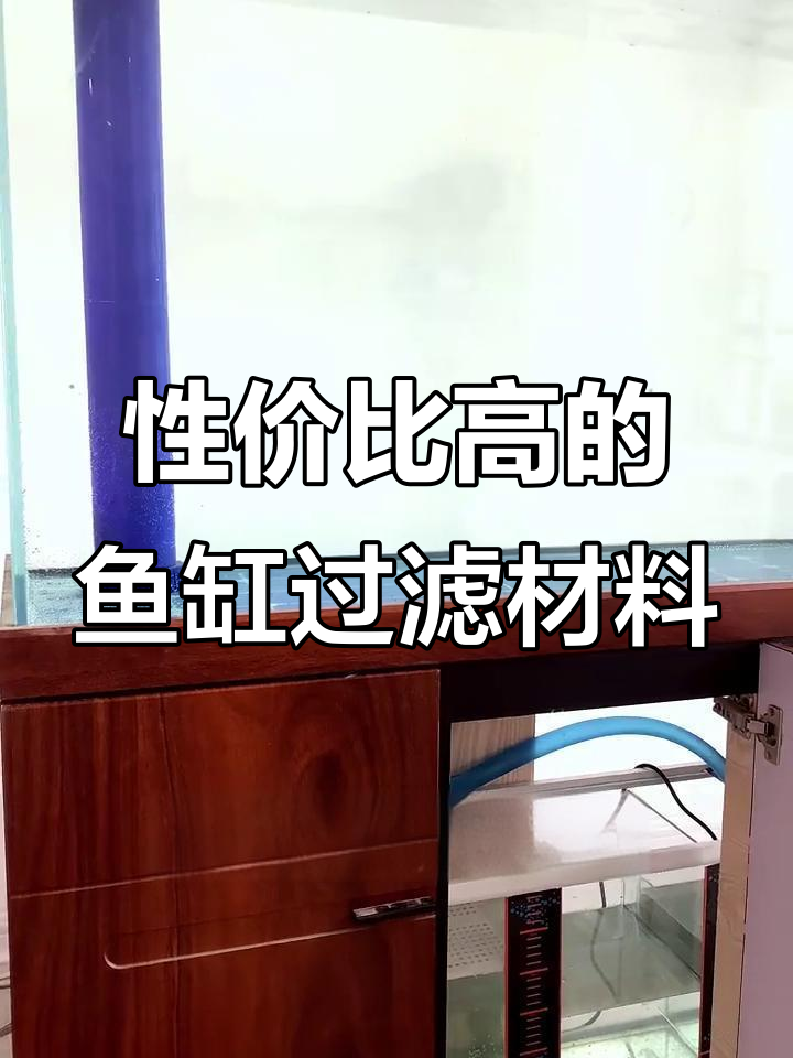 大鱼缸必备高性价比滤材，细菌屋竖放效果更佳