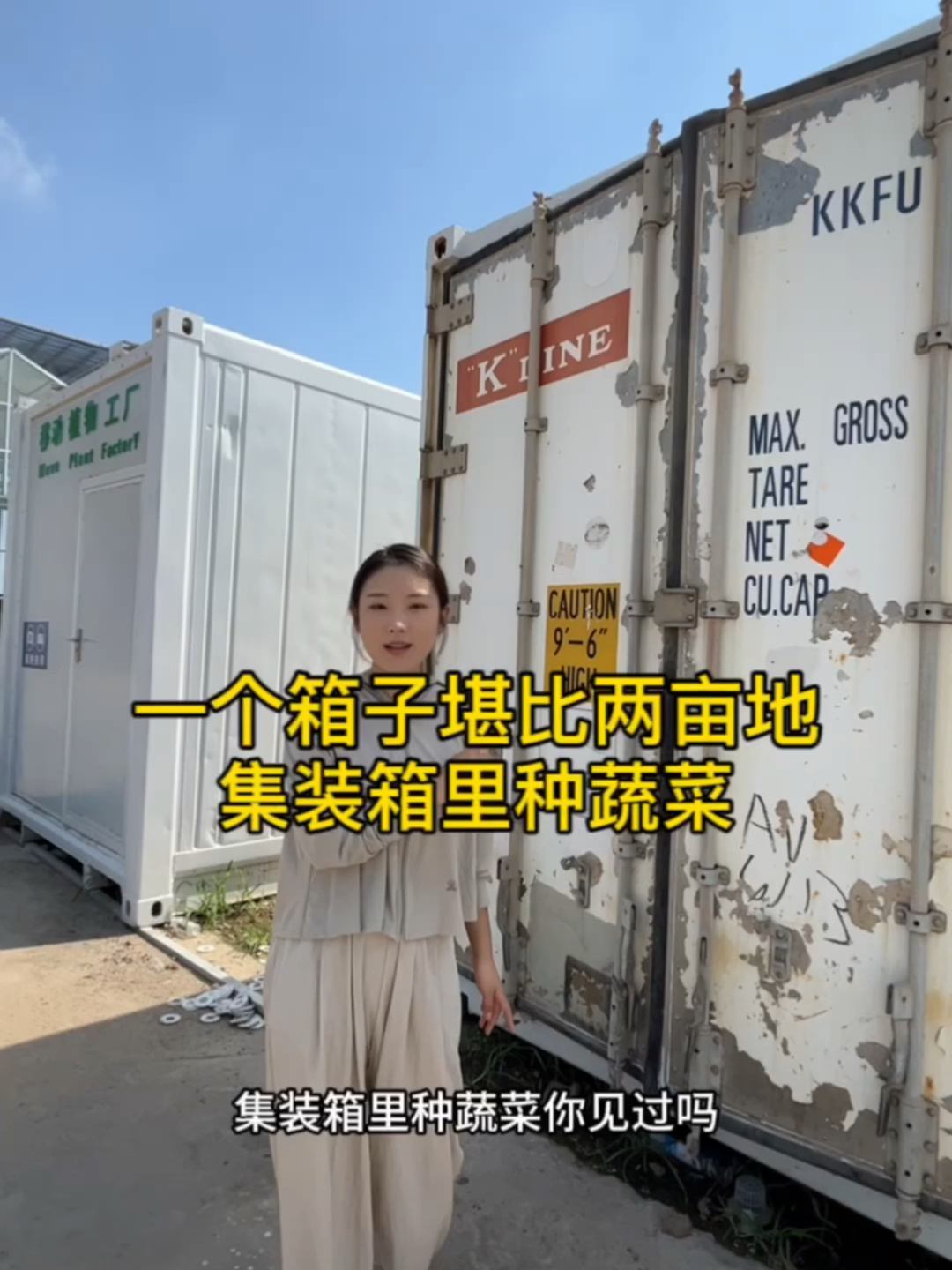 集装箱里种蔬菜 一个箱子堪比两亩地