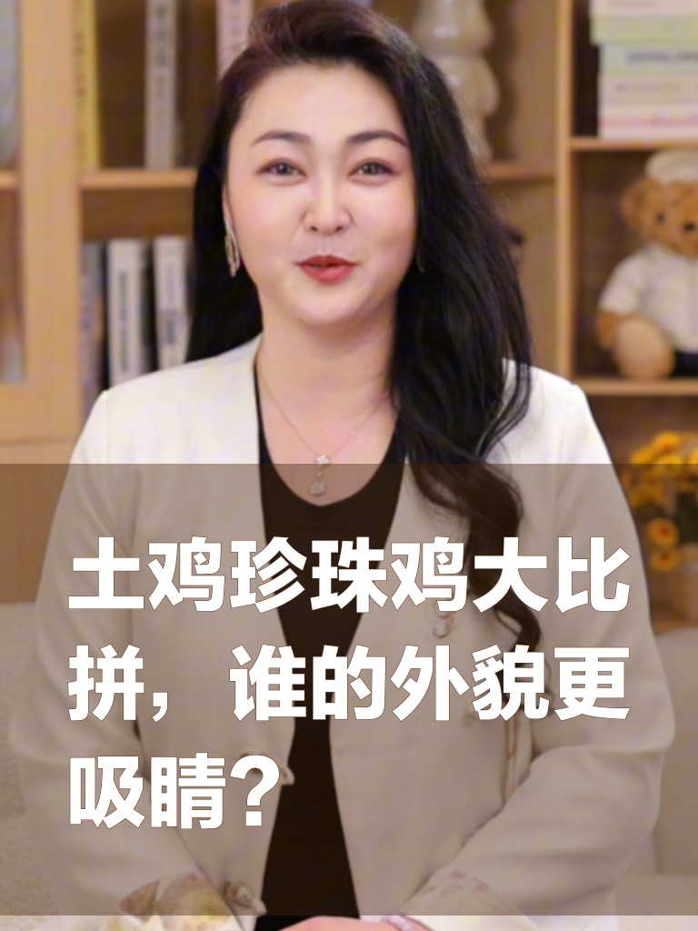 土鸡珍珠鸡大比拼,谁的外貌更吸睛?