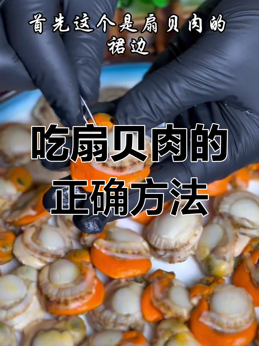 扇贝肉全解,教你吃对每一口