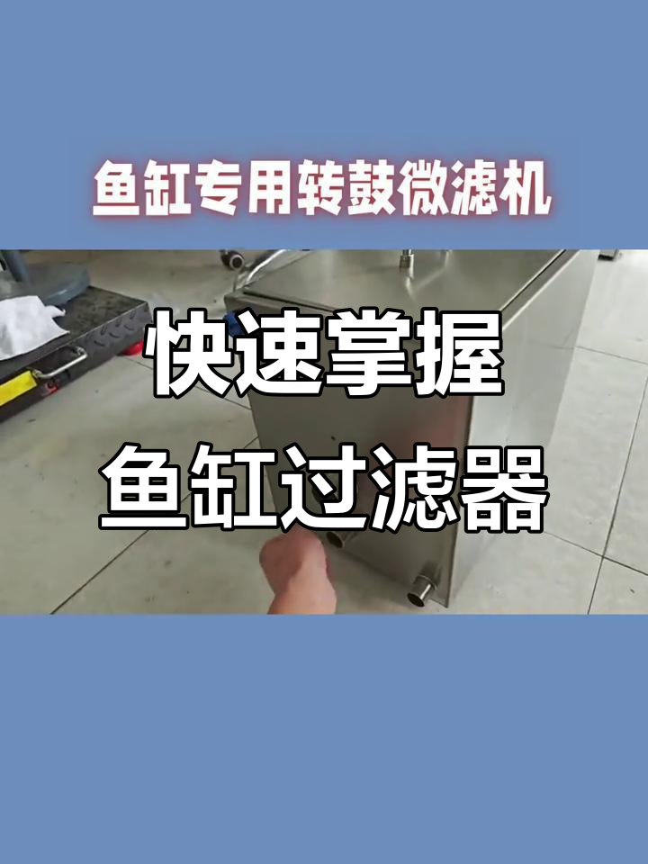 鱼缸过滤循环系统全解析，底滤设计让你水质无忧