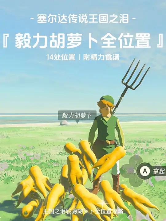 王国之泪|毅力胡萝卜全位置攻略 一、毅力胡萝卜位置 全图有14个位置有毅力胡萝卜,其中哈特