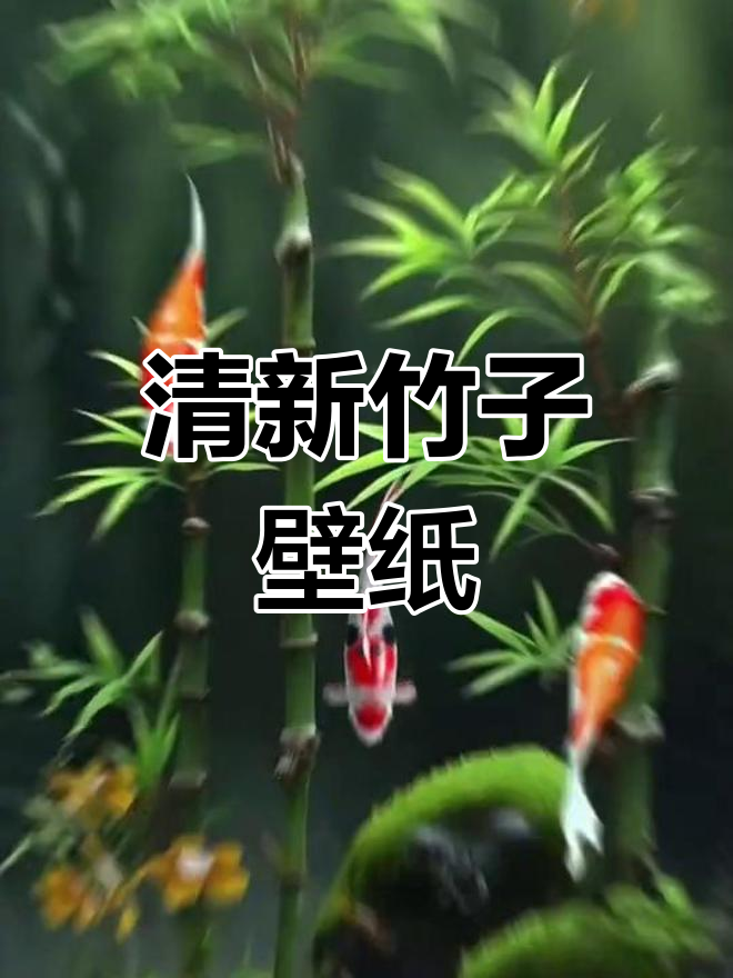 四季常青竹子动态壁纸,让手机焕发生机