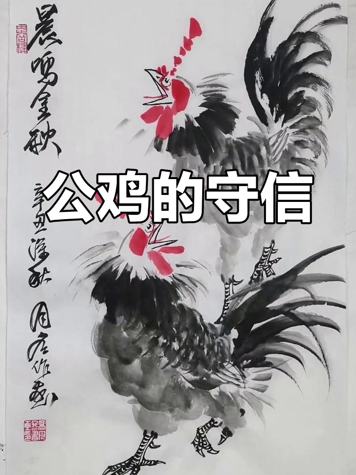 夜晚最先醒来,公鸡象征着守时与可靠