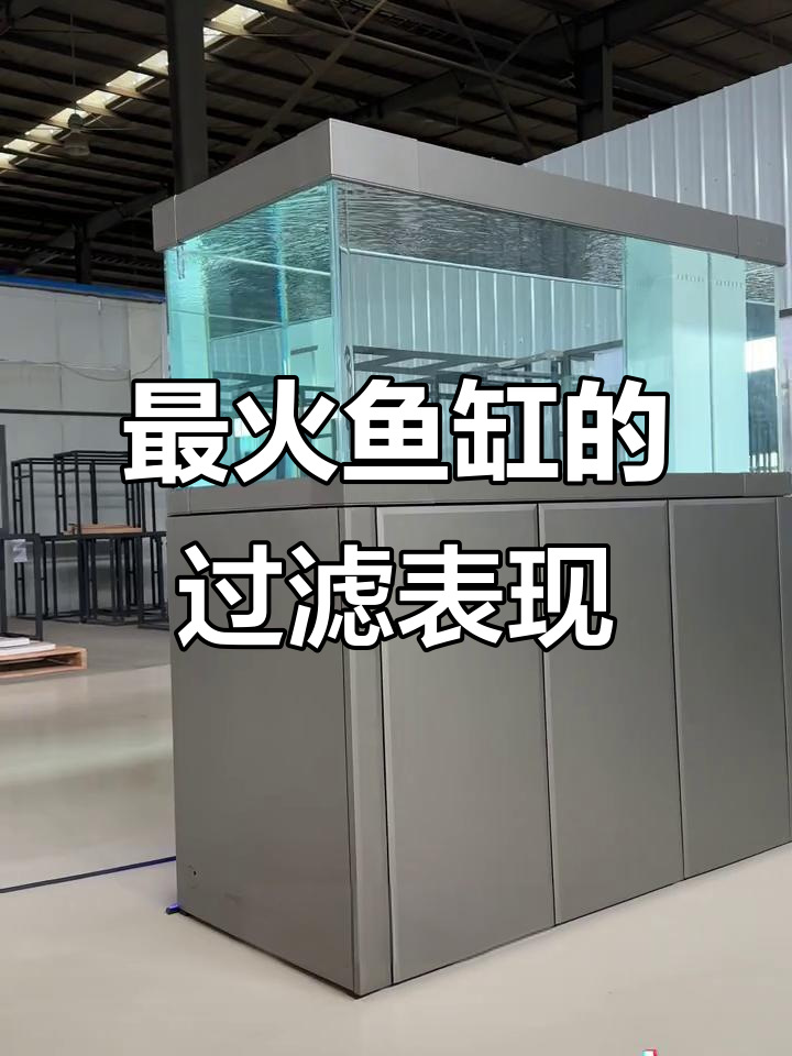 2018年最热鱼缸,过滤效果如何?