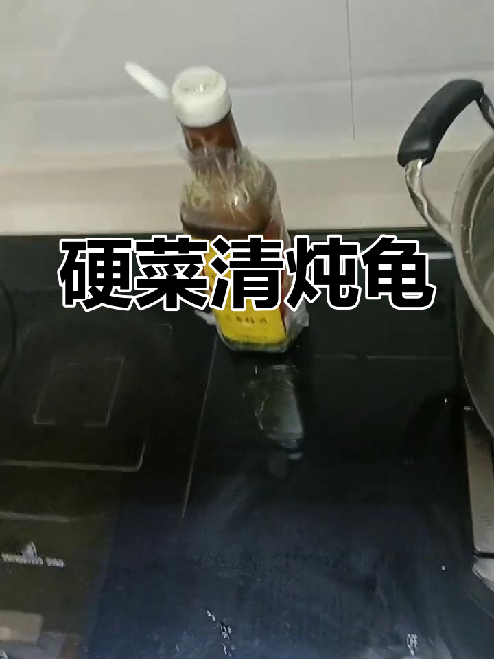 清炖小乌龟,慢火细煨