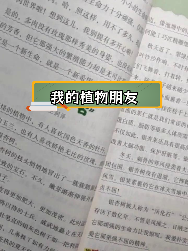 三年级语文作文:美丽的油菜花