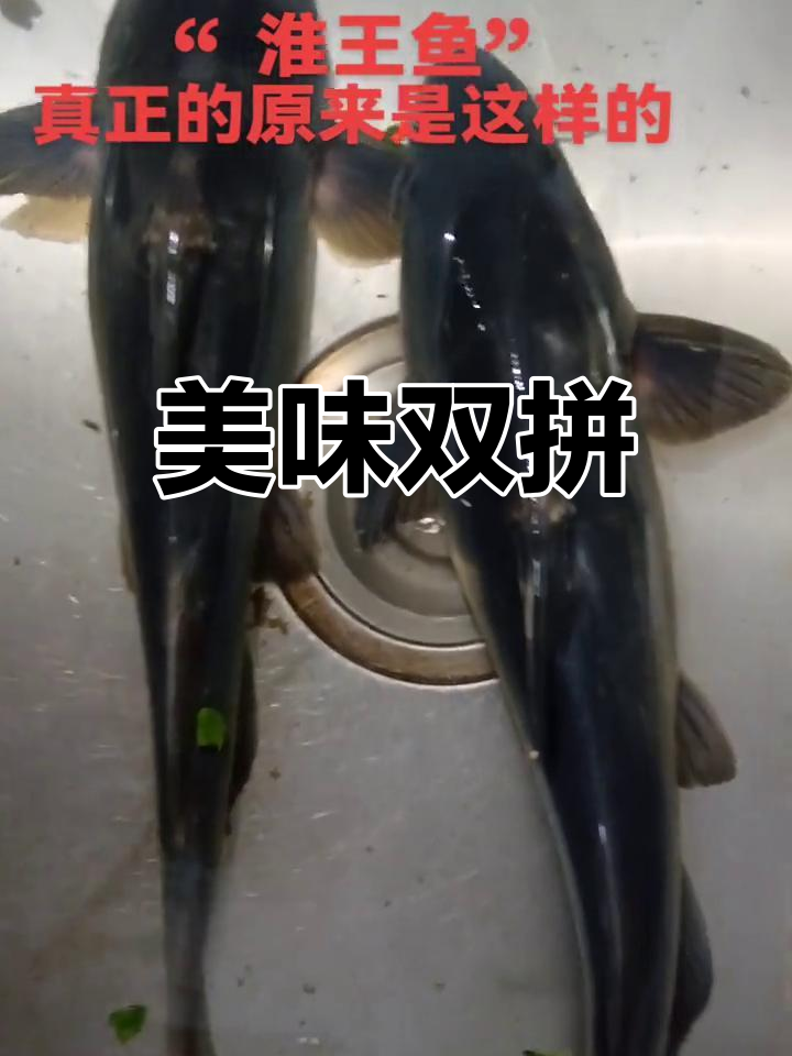 朋友送来淮王鱼,鲜美无比,春笋酱肉更是绝配!