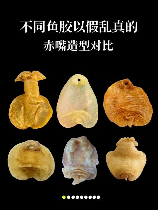假冒赤嘴鱼胶造型