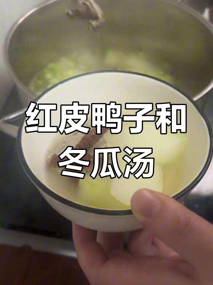 20元搞定一整天!红皮鸭子冬瓜汤,简单又美味