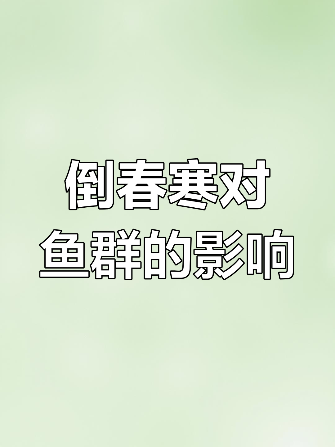 青岛海域倒春寒影响鱼类生存,水温骤降引发危机
