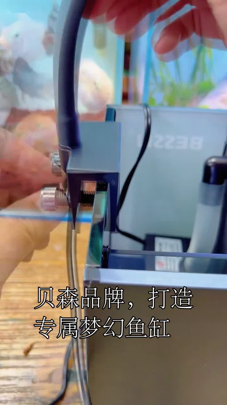 贝森品牌,打造专属梦幻鱼缸