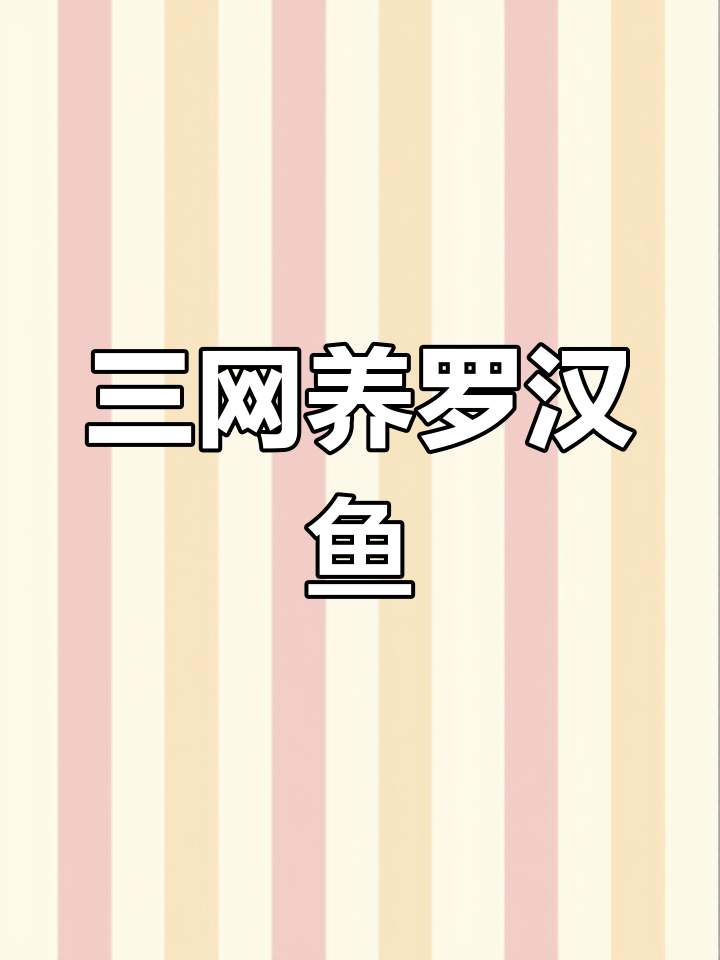 罗汉鱼起头秘诀：三网养殖提高成功率