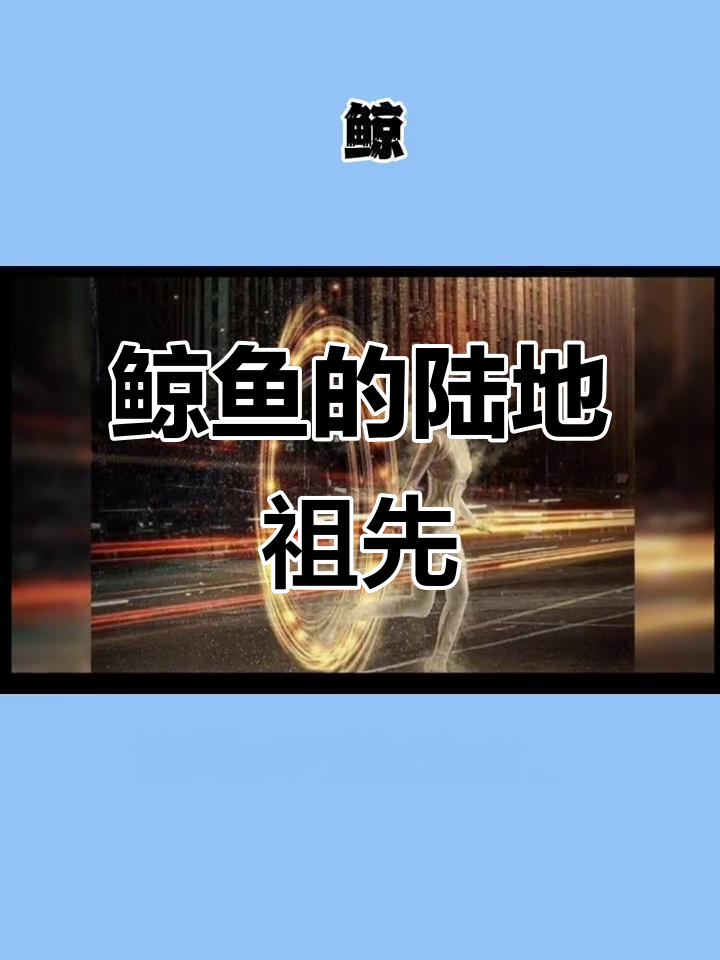 鲸鱼祖先曾是陆地奔跑者，竟与河马有亲缘关系