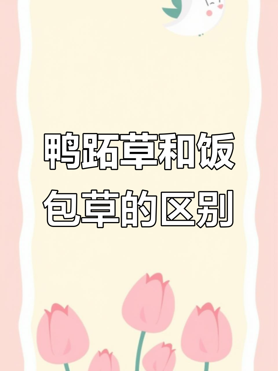 鸭跖草与饭包草,你能分清吗?