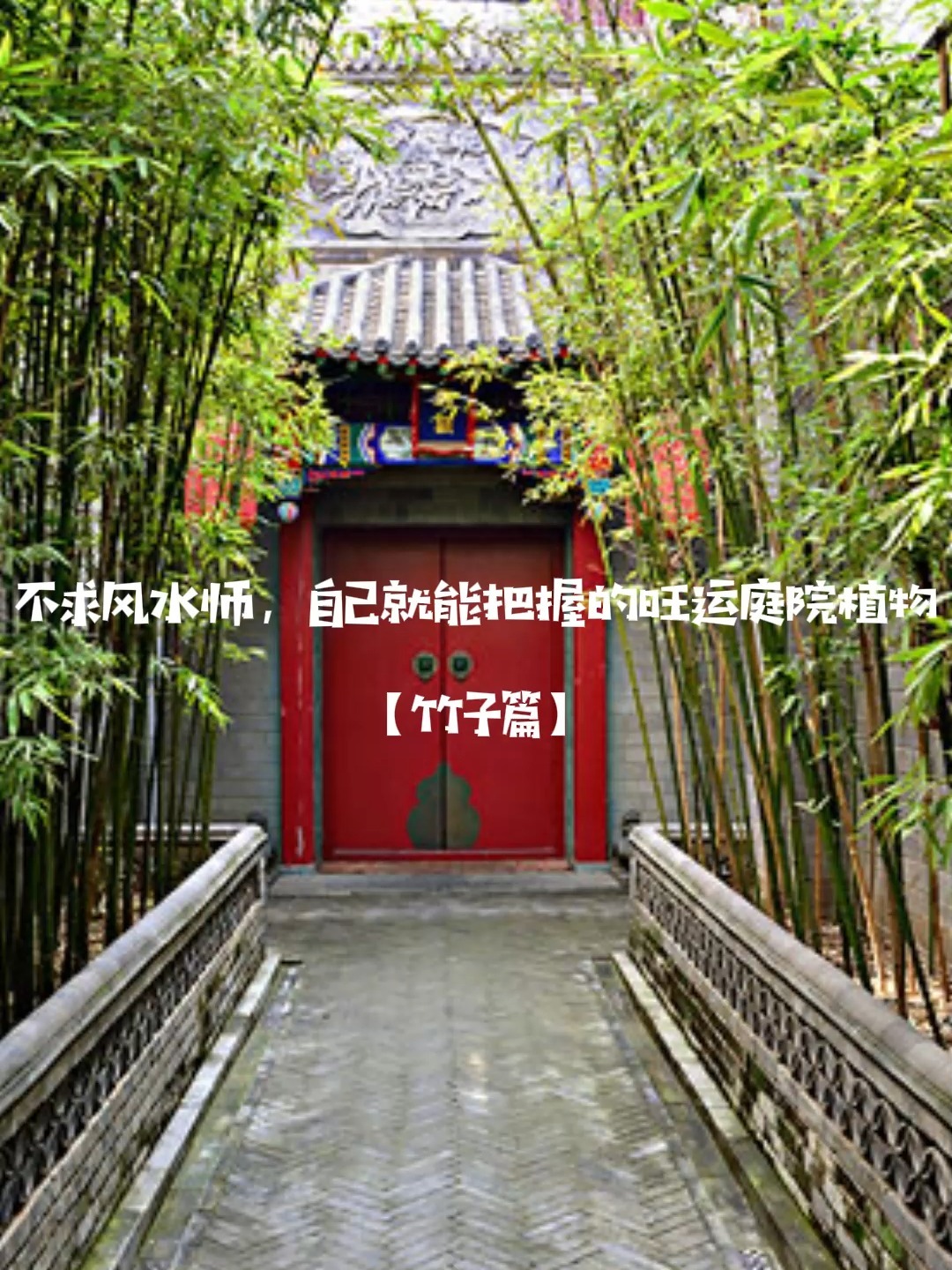 不求风水师,自己就能把握的旺运庭院植物①