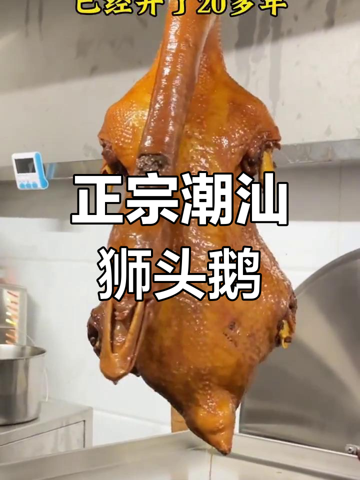 泉州也能尝到正宗潮汕狮头鹅,卤味鲜嫩美味