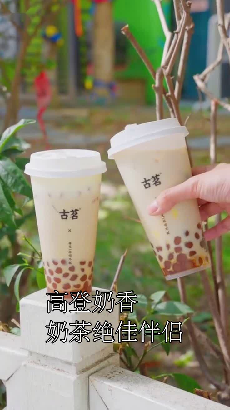 高登奶香奶茶绝佳伴侣