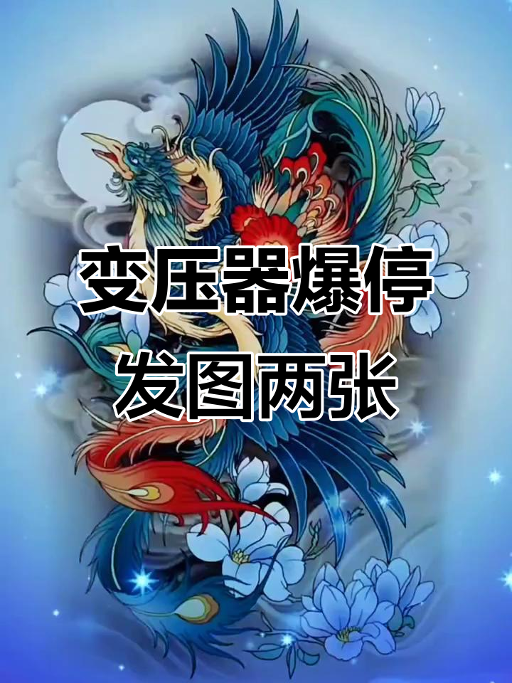 变压器爆炸停电,凤凰纹身手稿分享