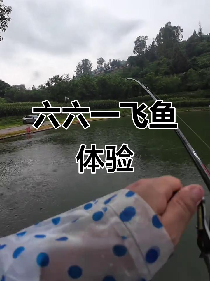 飞鱼挑战:六六一软了点,不过瘾!