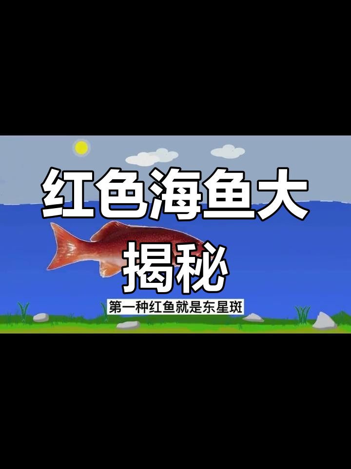 十二种常见红色海鱼,你认识几种?