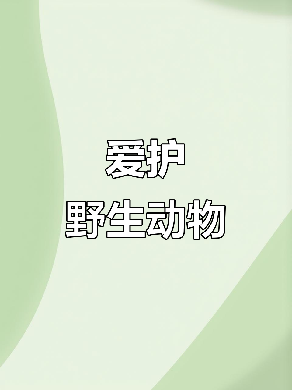 竹鸡鸟鸣声大赏,聆听自然之声