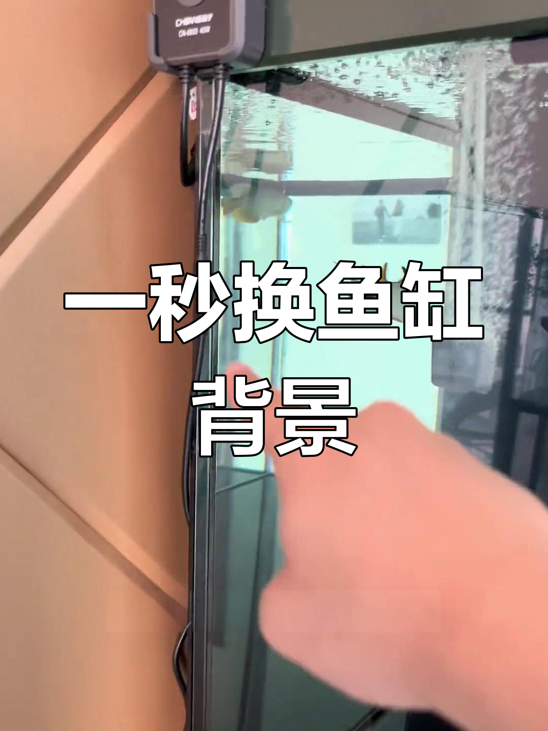 鱼缸背景轻松切换技巧