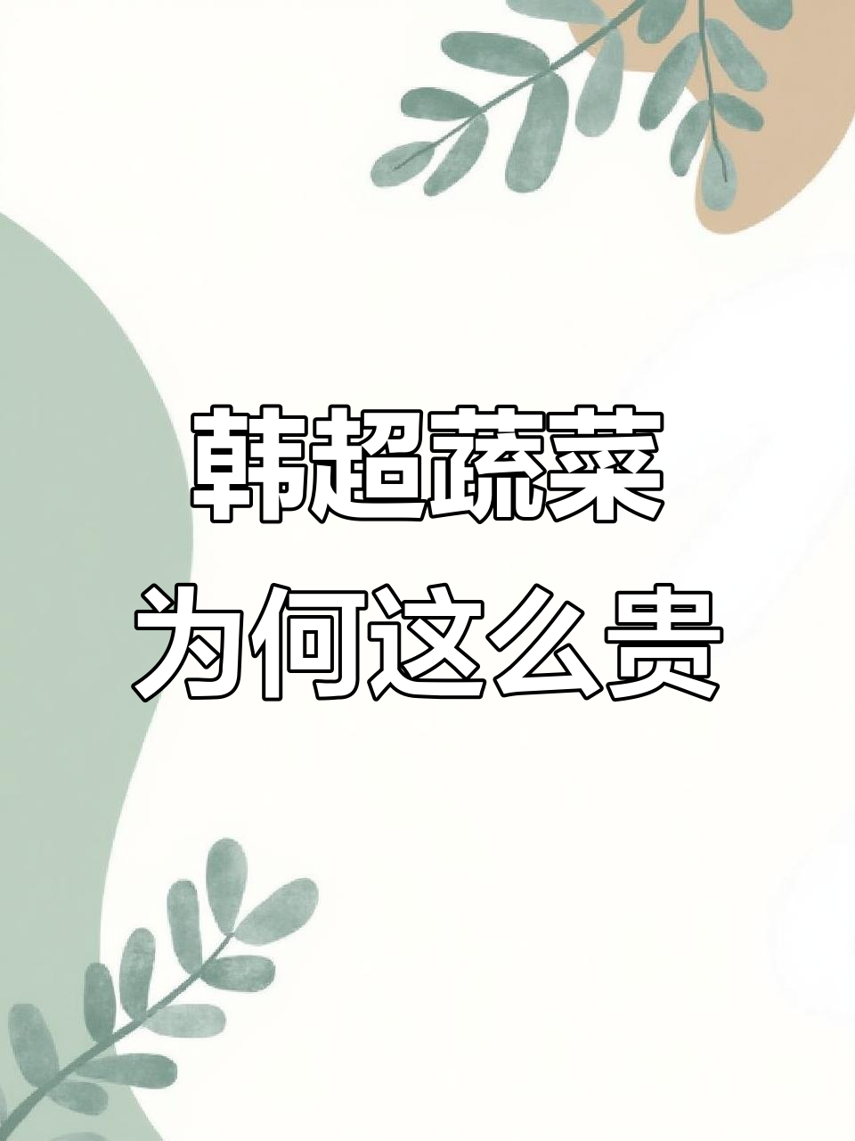 韩国超市蔬菜价格大揭秘,比国内还贵?
