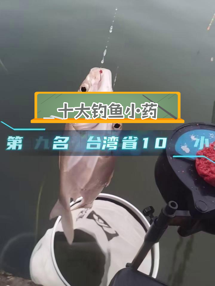 中国钓鱼小药排行榜TOP10