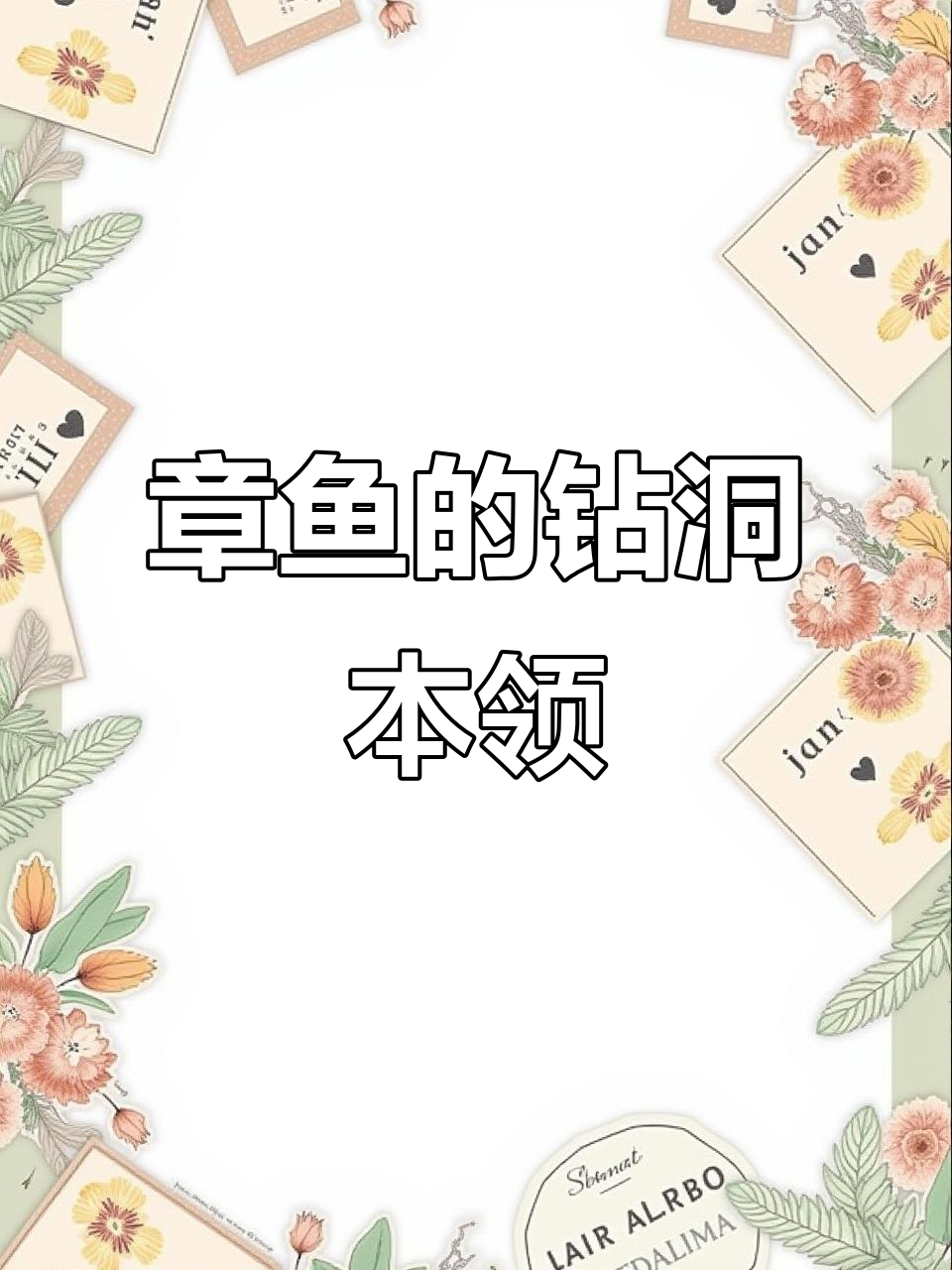 章鱼如何巧妙躲敌？钻洞能力让人惊叹